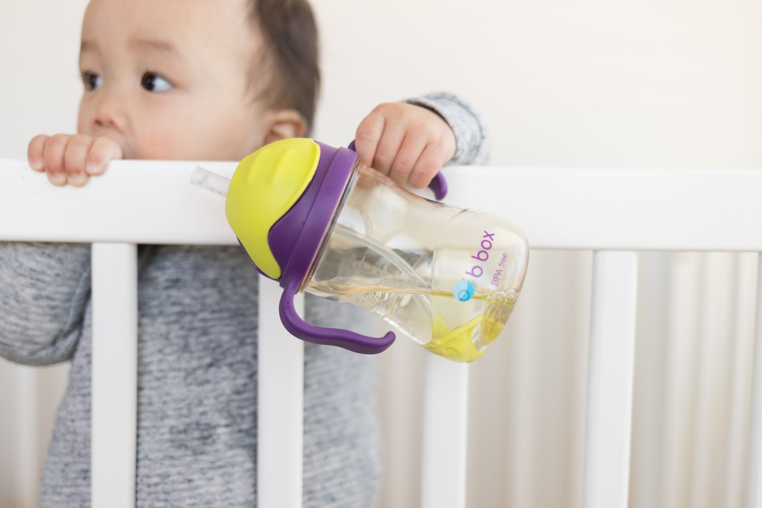 b.box NEW Sippy Cup - Deluxe Edition - PPSU - Blue Green