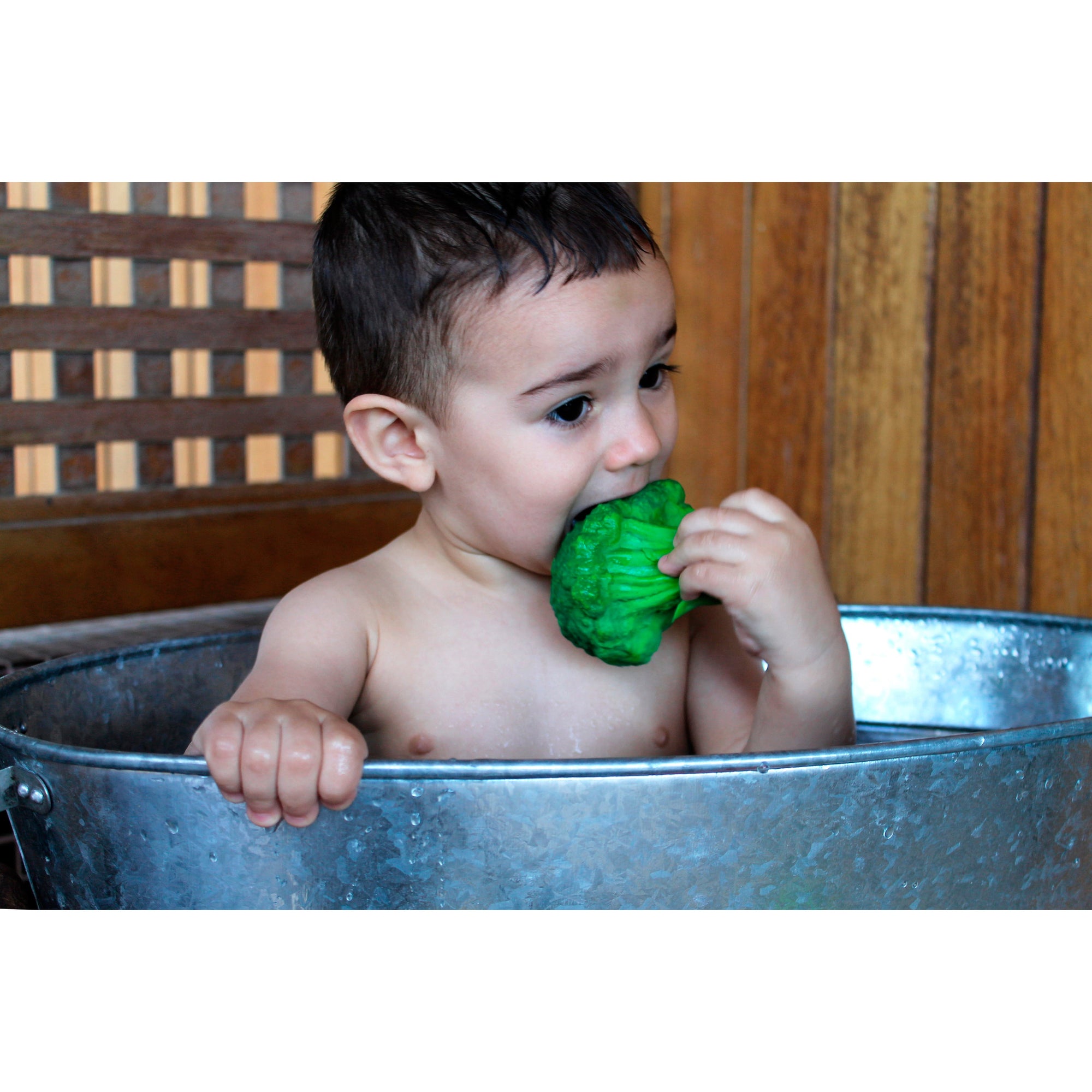 Oli & Carol Brucy the Broccoli Teether