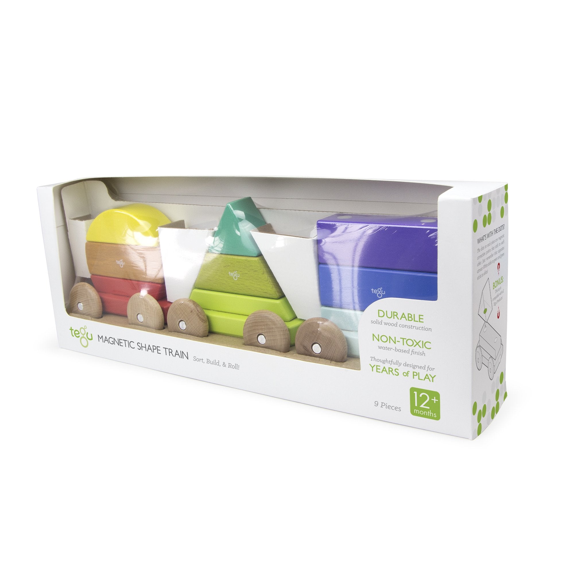 Tegu Shape Train Rainbow Magnetic Wooden Blocks