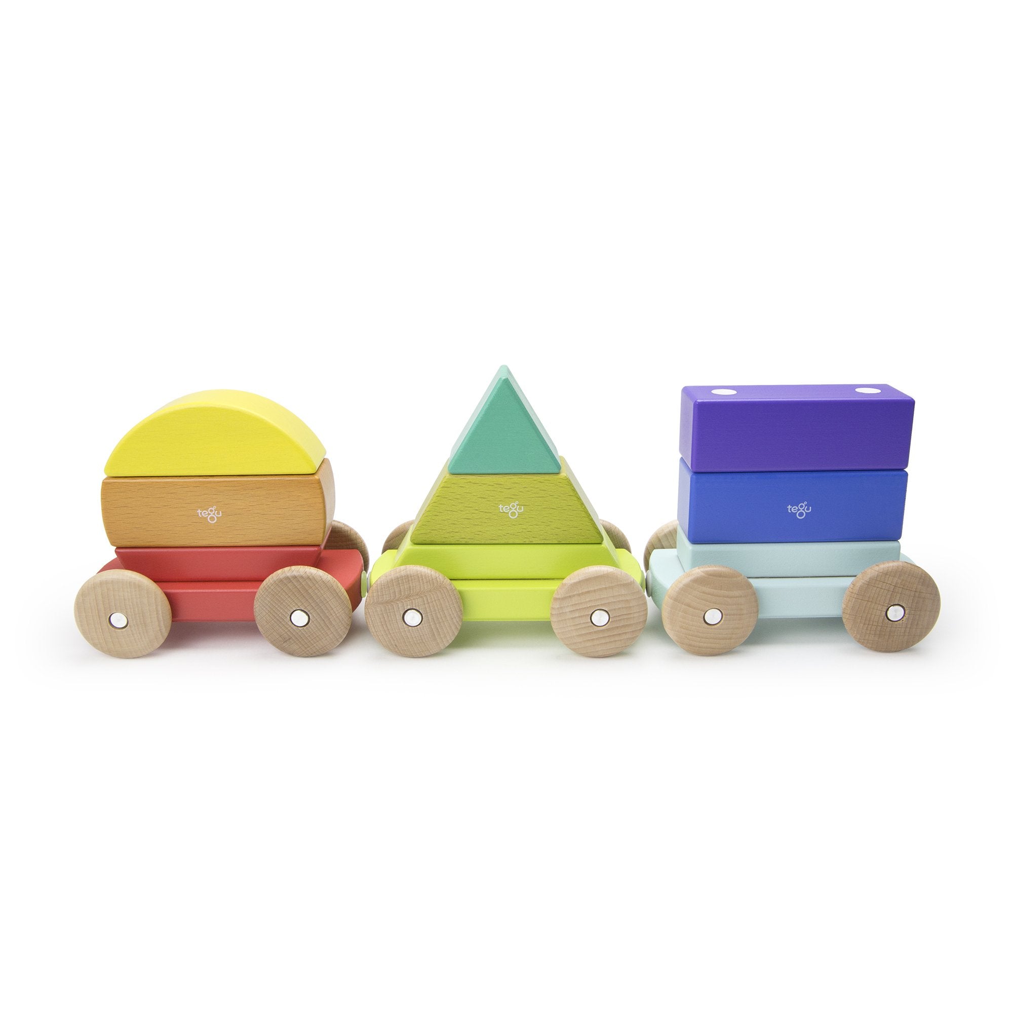 Tegu Shape Train Rainbow Magnetic Wooden Blocks
