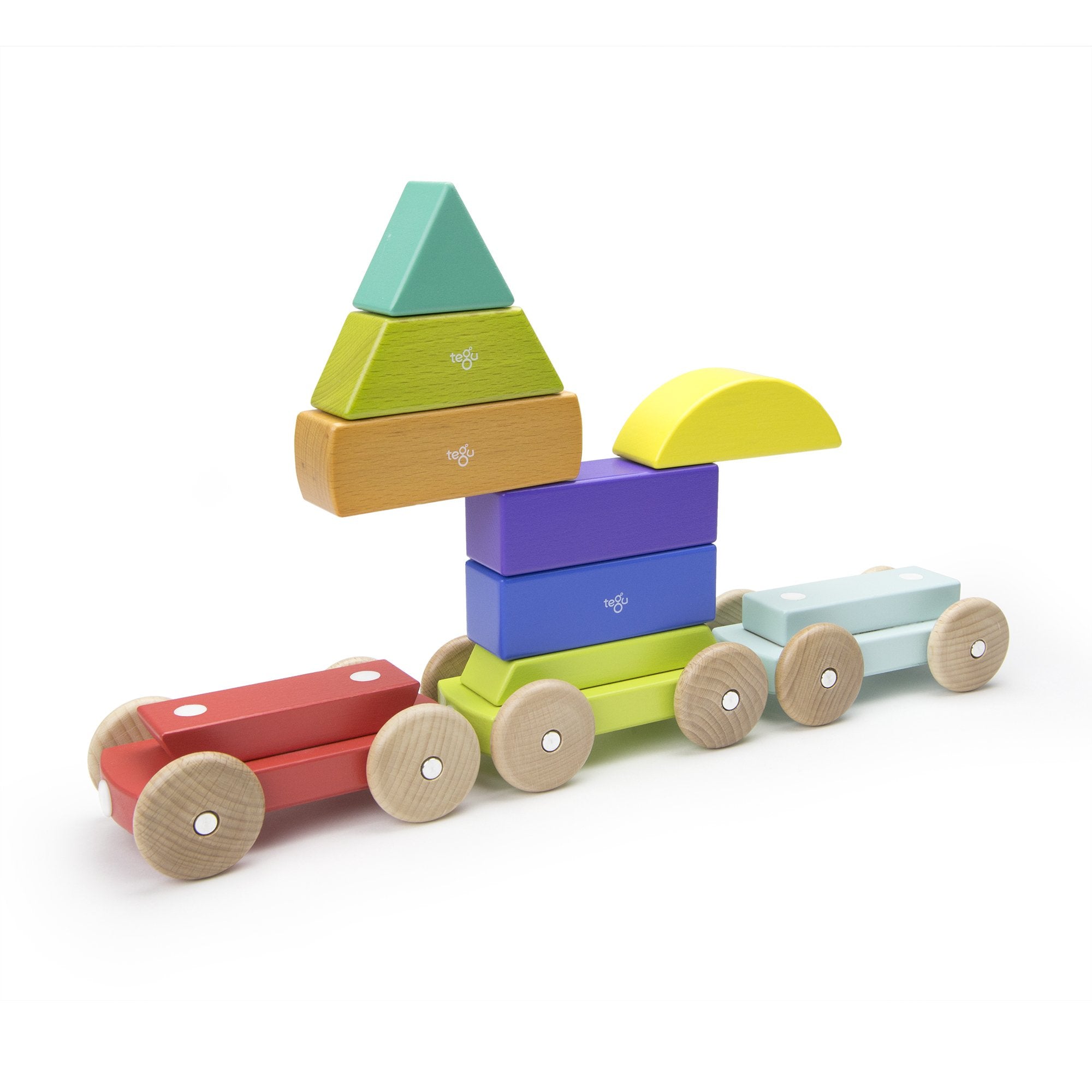 Tegu Shape Train Rainbow Magnetic Wooden Blocks