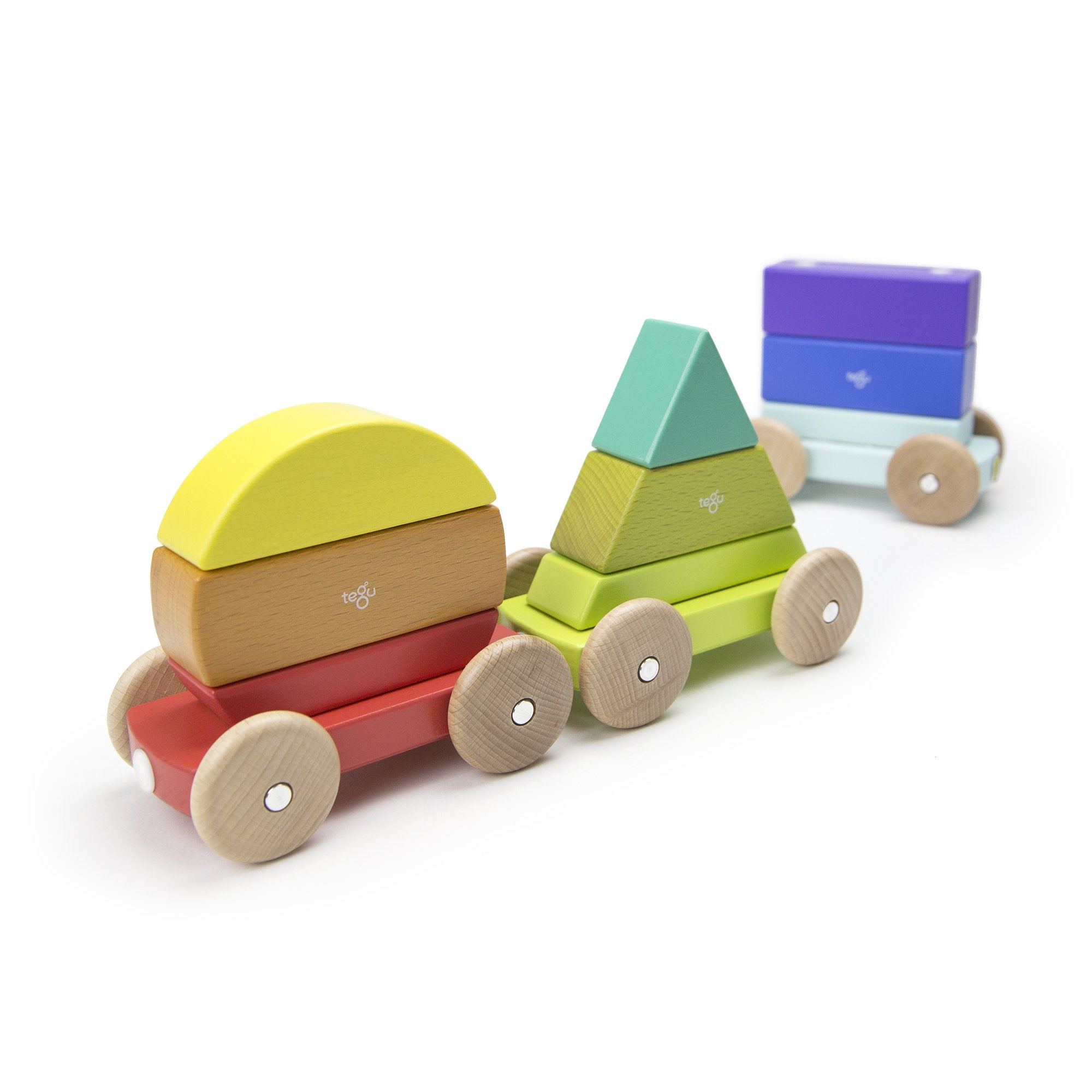 Tegu Shape Train Rainbow Magnetic Wooden Blocks