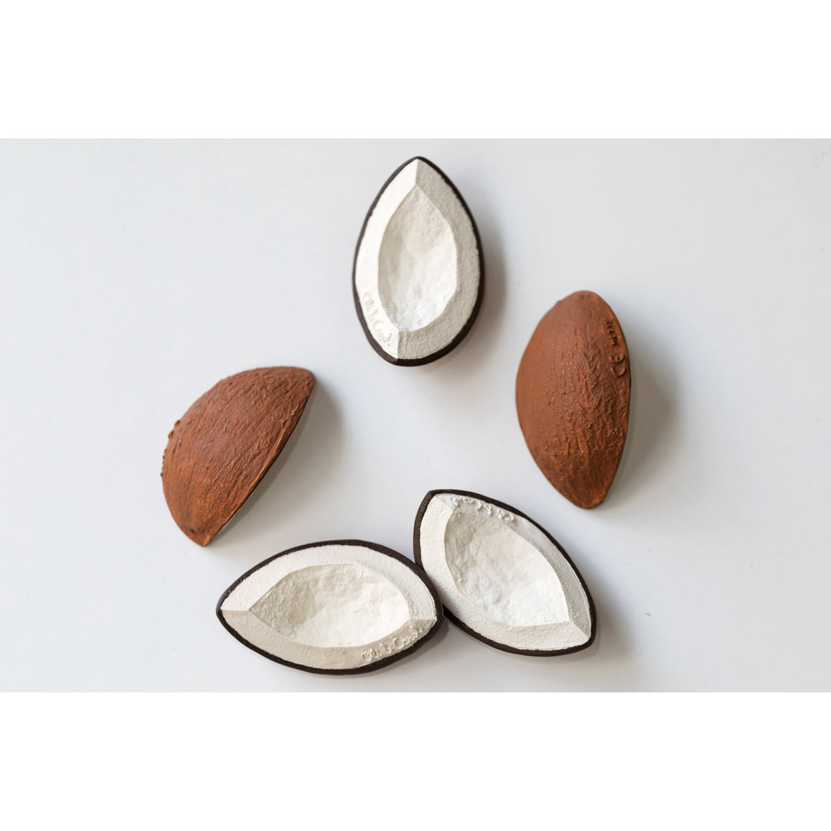 oli-&amp;-carol-coco-the-coconut- (5)