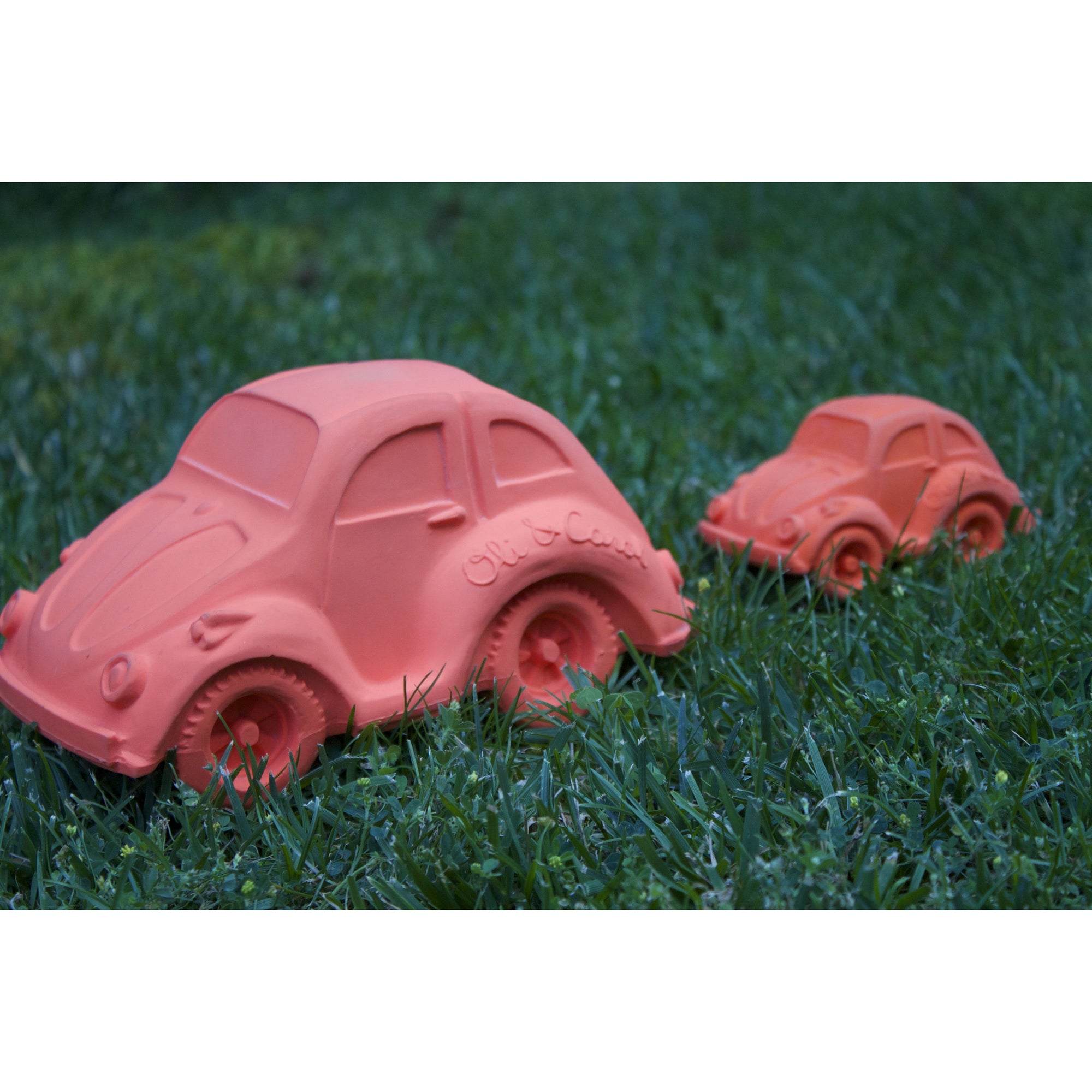 oli-&-carol-extra-large-beetle-car-teether- (51)