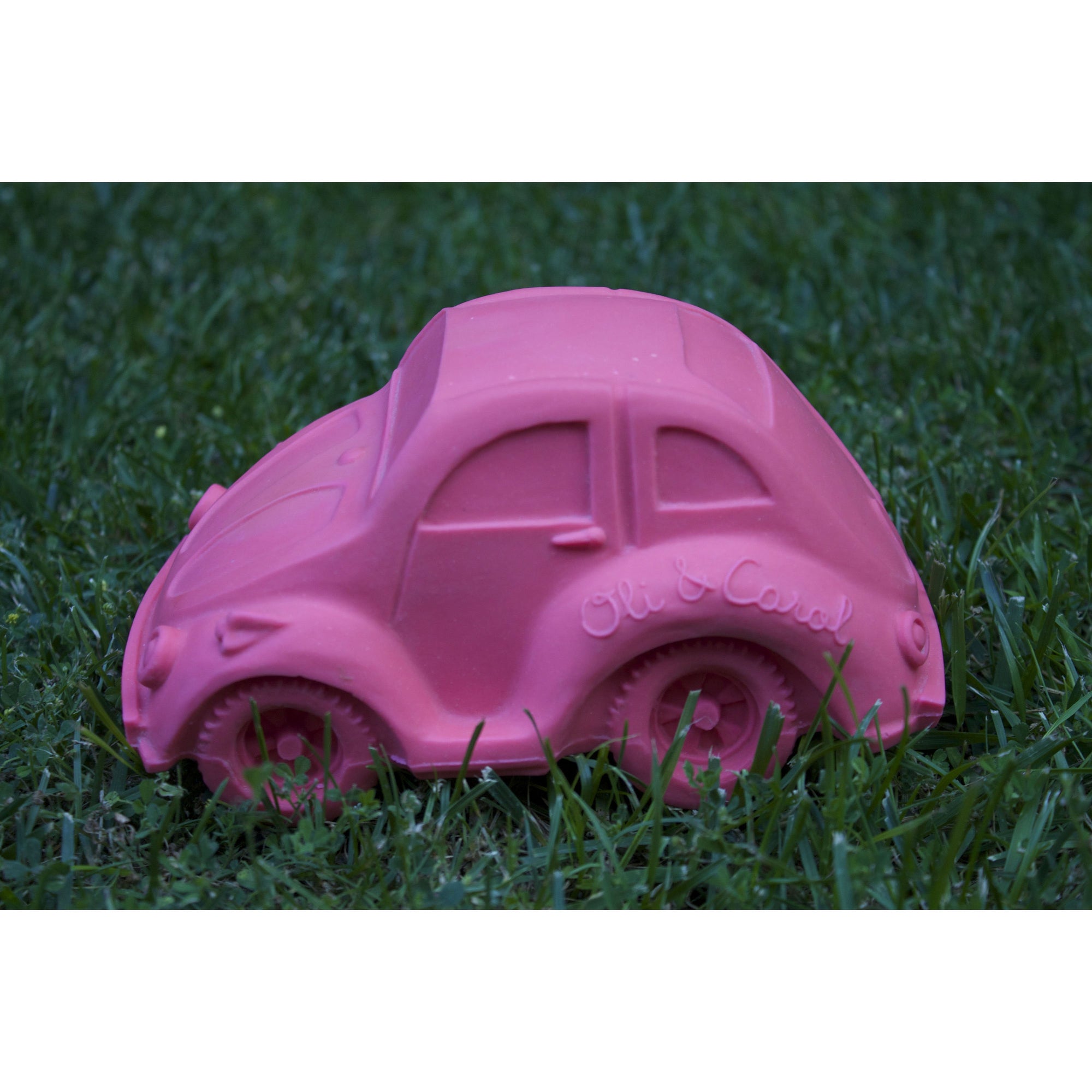 oli-&-carol-extra-large-beetle-car-teether- (53)
