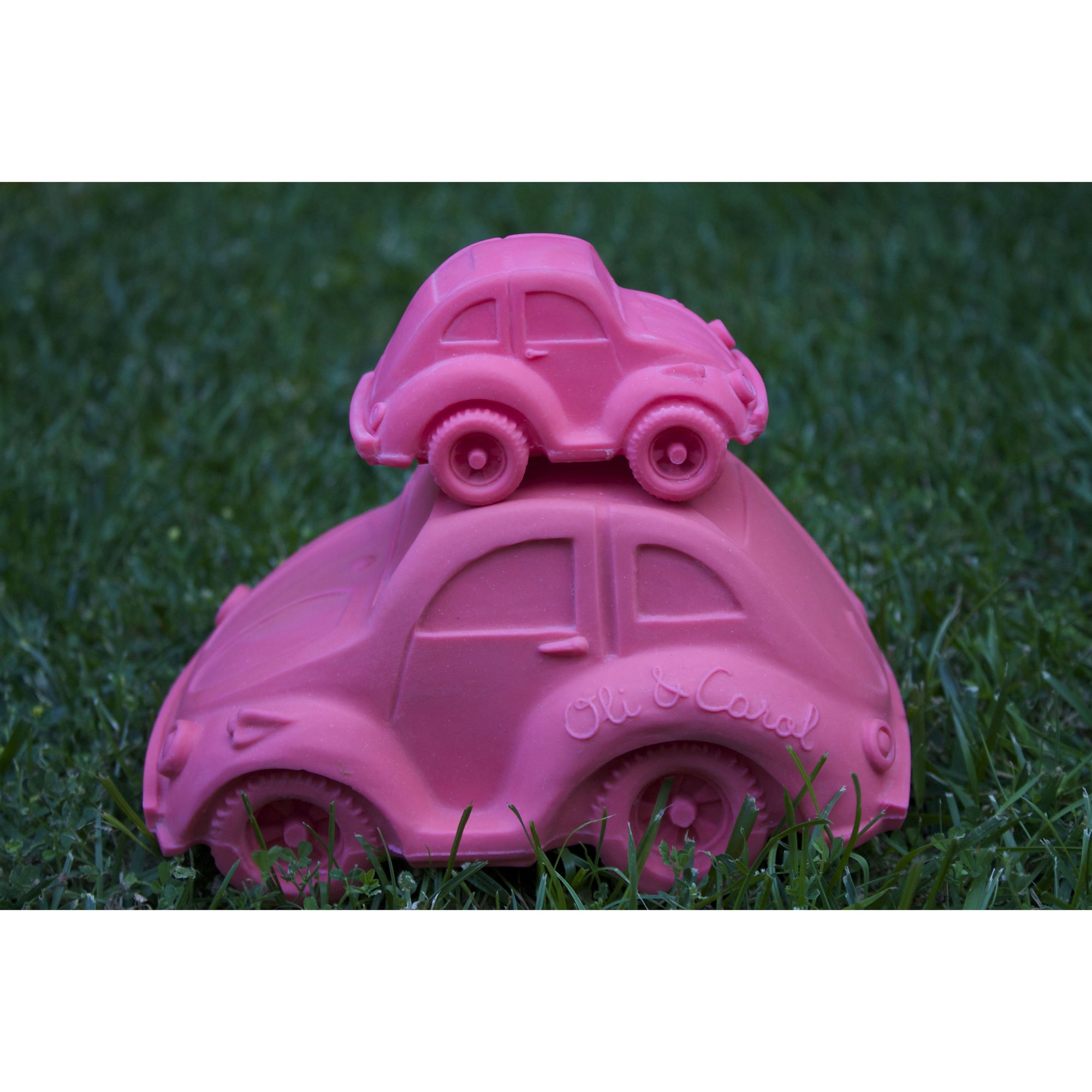 oli-&-carol-extra-large-beetle-car-teether- (54)