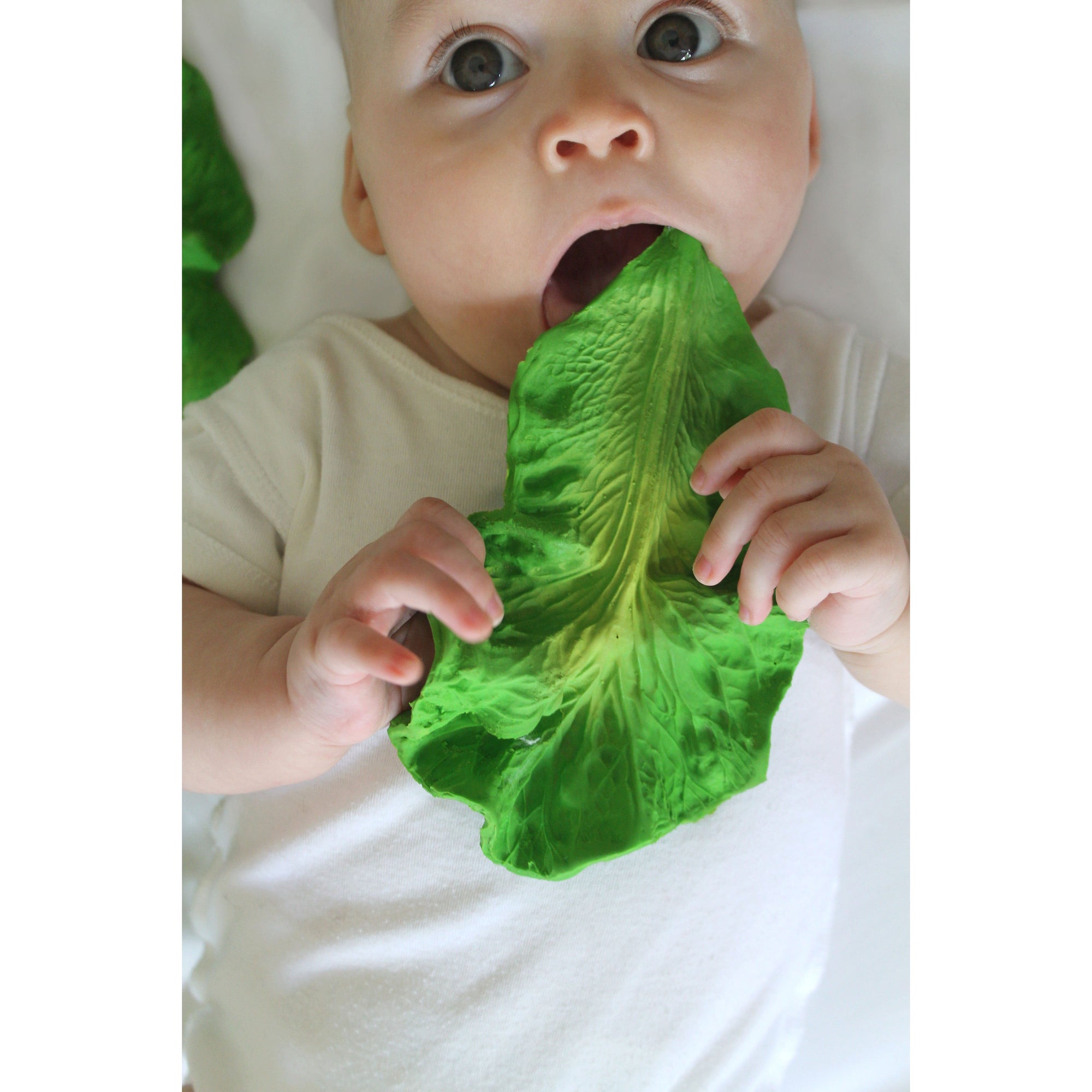 oli-&-carol-kendall-the-kale-teether- (25)