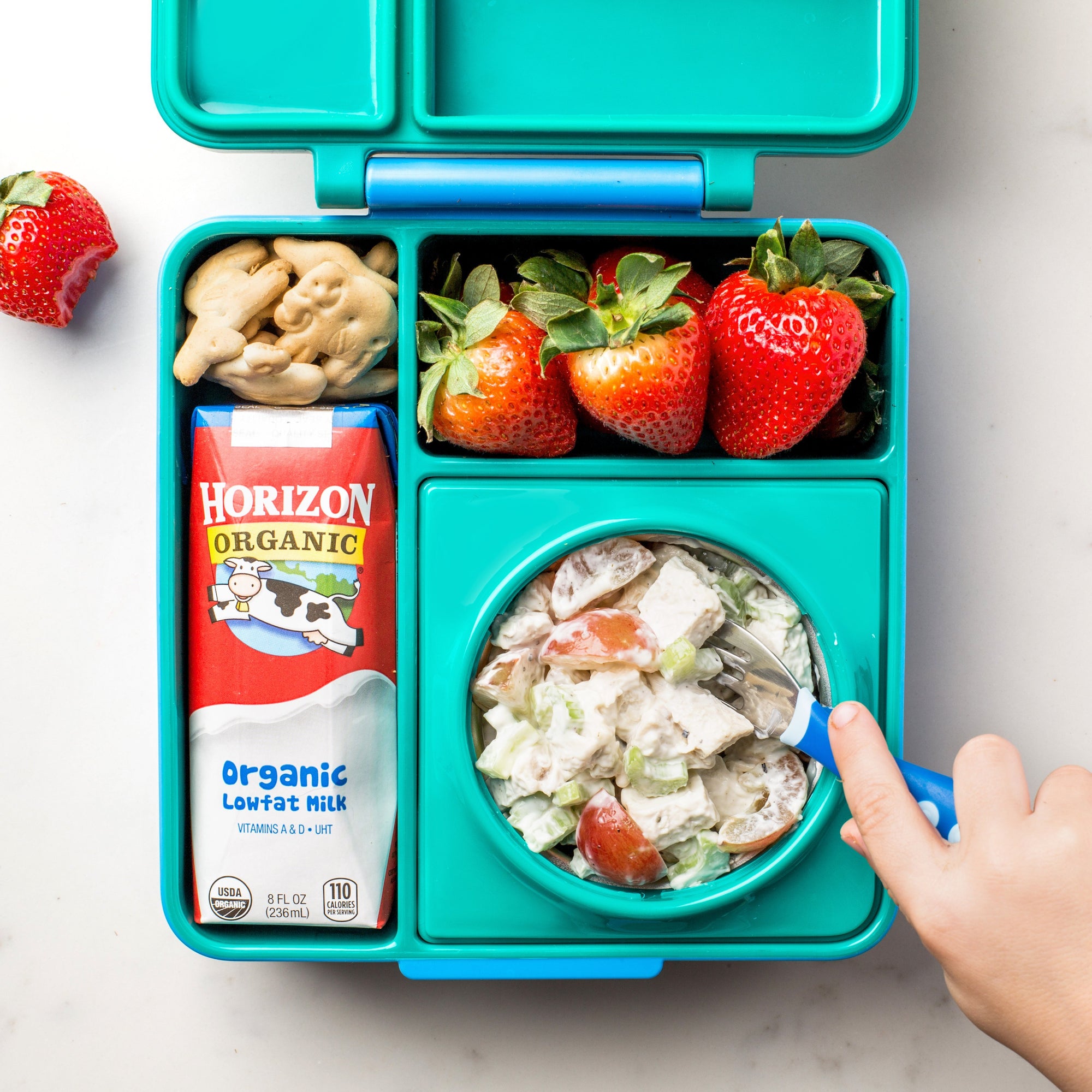 omiebox-insulated-hot-&-cold-bento-box-meadow-green- (15)