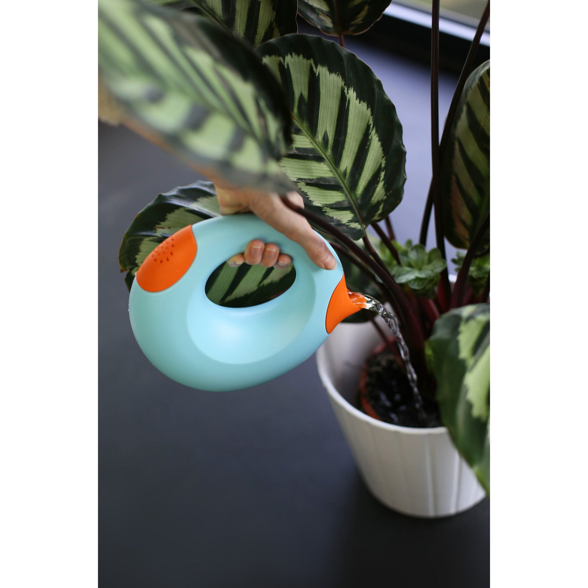 quut-cana-large-vintage-blue-mighty-orange- (18)