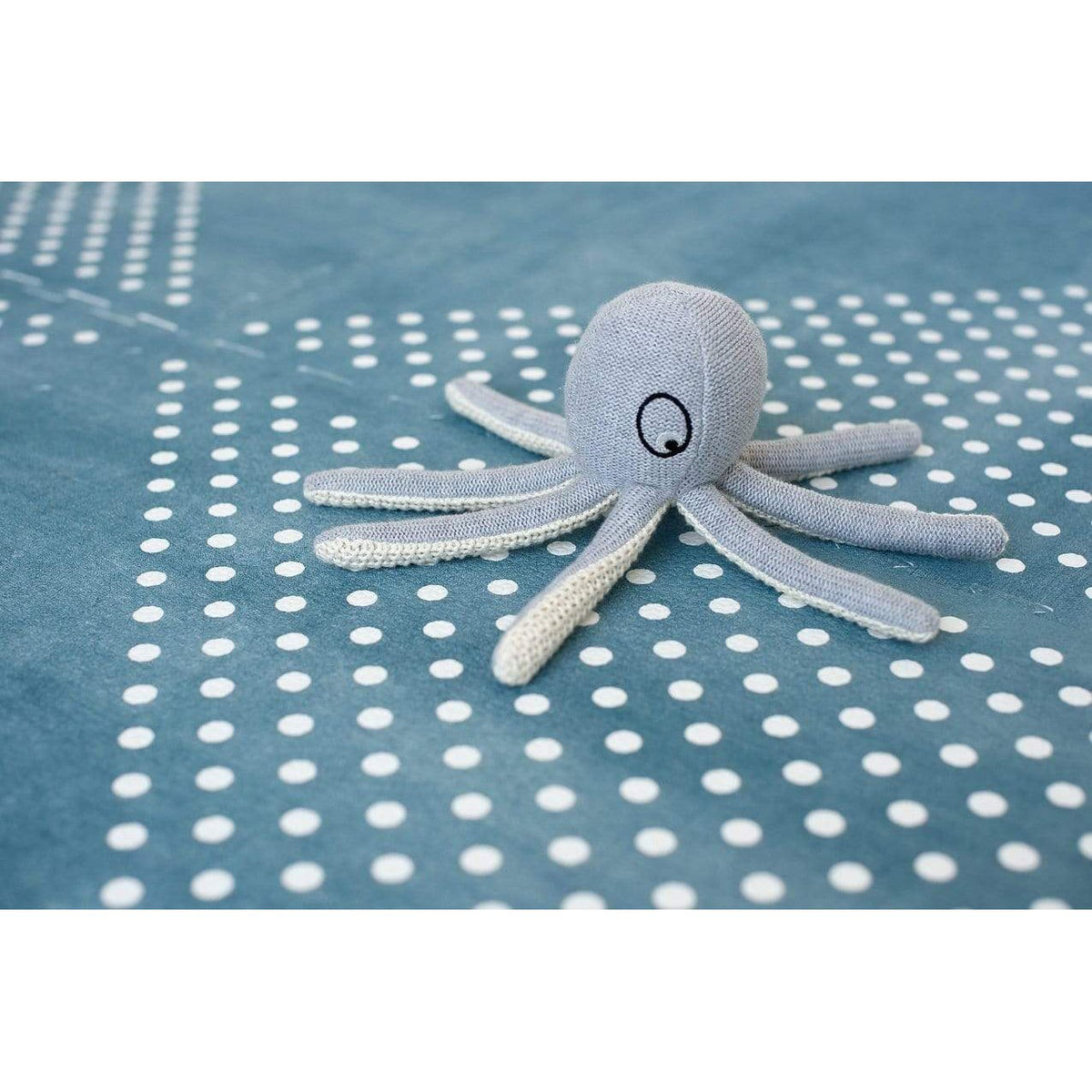 toddlekind-prettier-playmat-earth-marine-120x180cm-6-tiles-of-60-x-60cm-&amp;-12-edging-borders- (6)